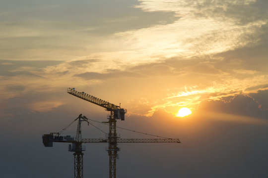 Cranes in everning and sun sky