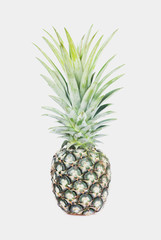Fototapeta premium Pineapple isolated on white background