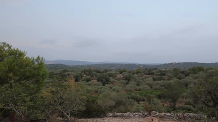 view of the fields and farms