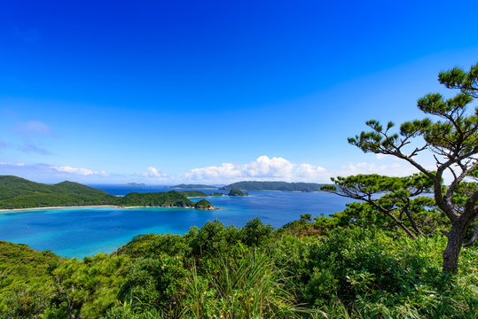 Chokolia Photos Images Assets Adobe Stock Chokolia Photos Images Assets Adobe Stock