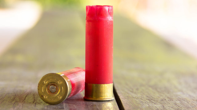 Red shotgun shell casings.