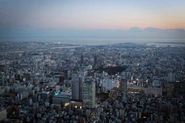 Megapolis of Tokyo panorama from Skytree by sunset, Japan