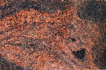 Red granite texture, close-up photo
