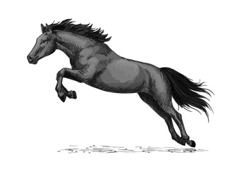 Obraz na płótnie Canvas Horse running and jumping vector sketch symbol