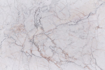 white background marble wall texture