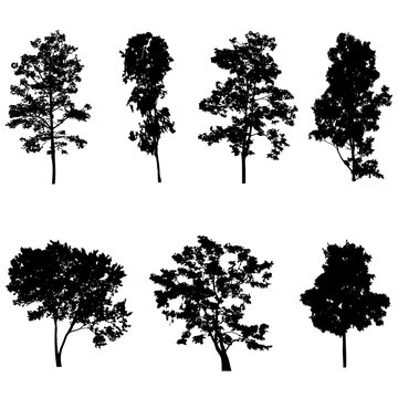 set of tree silhouette vector