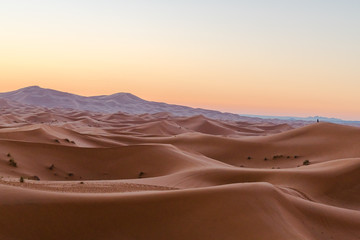 Fototapeta na wymiar sand desert 
