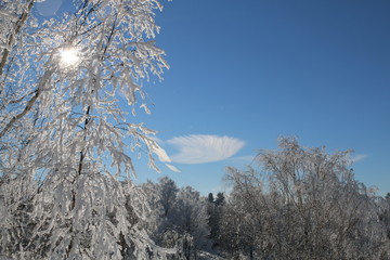 A special winter cloud