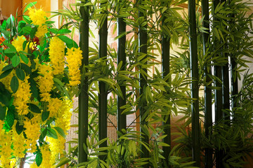 Obraz premium green bamboo