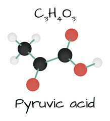 molecule Pyruvic acid C3H4O3