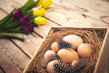 Easter background with eggs in nest and purple and yellow tulips. Top view with copy space