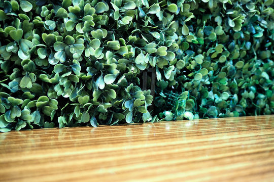 Green Bush Background Images – Browse 9,344 Stock Photos, Vectors, and