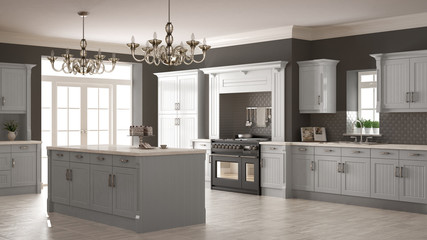 Classic kitchen, scandinavian minimal interior design with woode