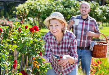Fototapeta premium Senior couple looking after flowers in the garden