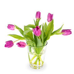  Tulips in a glass vase on white background