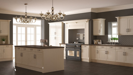 Classic kitchen, scandinavian minimal interior design with woode