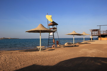 beach,sea