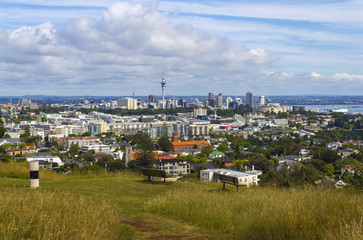 Naklejka premium City and Urban Landscape from Mt Hobson Auckland New Zealand