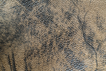 The texture of the skin