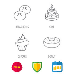 Cupcake, cake and bread rolls icons. Sweet donut linear sign. Shield protection, calendar and new tag web icons. Vector