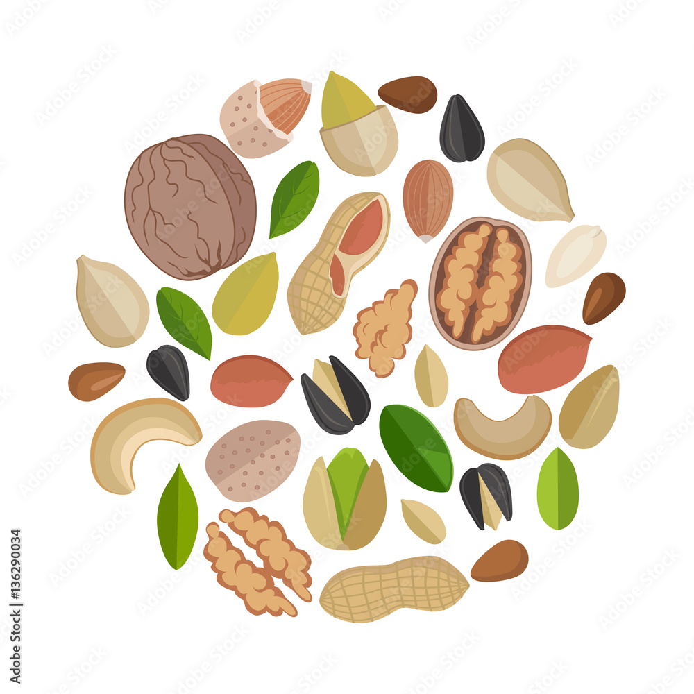 Poster nuts composed in circle shape.