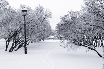 Alley and Lantern covered by snow in winter Park