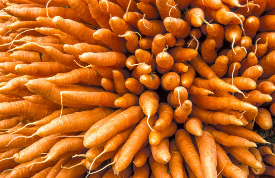 Market scenery, Finland, Helsinki, city view