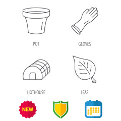 Leaf, scissors and pot icons. Hothouse linear sign. Shield protection, calendar and new tag web icons. Vector