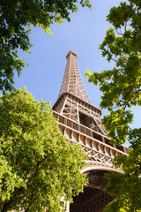 La Tour Eiffel ou La Dame de Fer avec les arbres - Paris en France