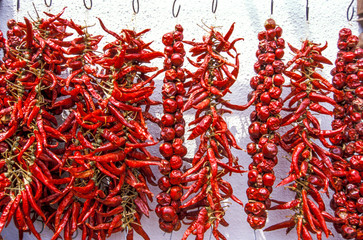 Red pepper, Hungary, Western Hungary, lake Balaton