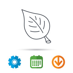 Leaf icon. Natural eco sign. Environment symbol. Calendar, cogwheel and download arrow signs. Colored flat web icons. Vector