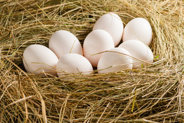 Chicken eggs in the straw. Wooden rustic background.