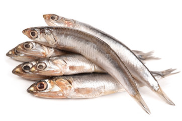 anchovy