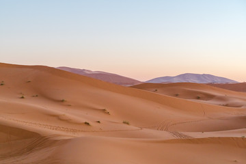 sand desert at the sunset

