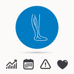 Phlebology icon. Leg veins sign. Varicose or thrombosis symbol. Calendar, attention sign and growth chart. Button with web icon. Vector