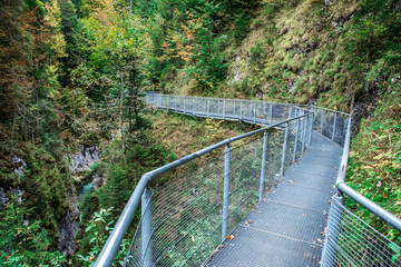 Leutaschklamm - wild gorge with river in the alps of Germany