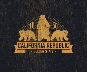 California t-shirt with grizzly bear. Vector illustration