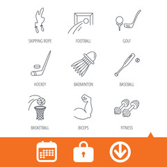 Skipping rope, football and golf icons. Hockey, baseball and badminton linear signs. Basketball, biceps and fitness sport icons. Download arrow, locker and calendar web icons. Vector