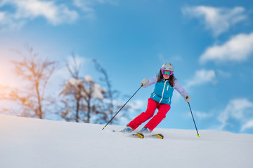 Woman Girl   Female On the Ski