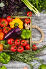 Set of different vegetables in the wooden tray