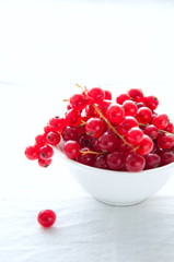 Fresh red currant in a small bowl on a white background
