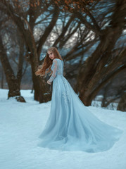 Fototapeta na wymiar Lady in a luxury lush blue dress, fantastic shot, fairytale princess is walking in the winter forest,