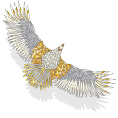 Eagle flying on white background.