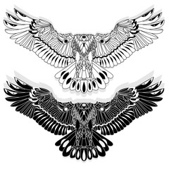 Naklejka premium Eagle flying on white backgroun.