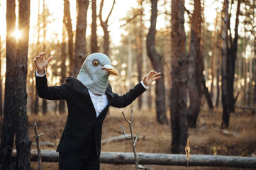 Weird businessman in a rubber bird mask pretending to fly in the sunset forest