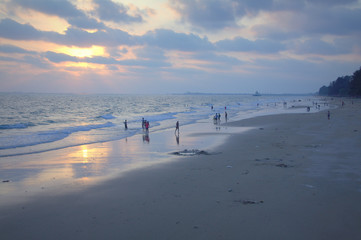 The Beach of Environment
