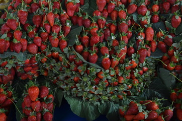 Naklejka premium strawberries with leaves on the stall bazaar turkey