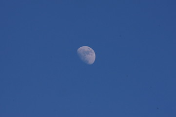 Fototapeta premium Lune de jour