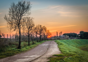 Strada di Campagna con Alberi