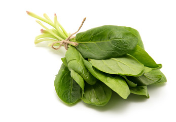 Spinach on a white background